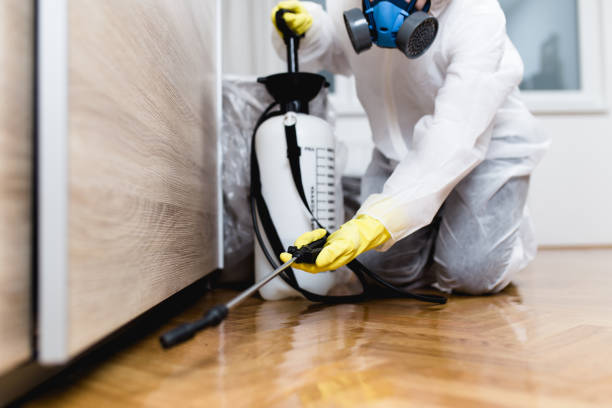 Best Residential Pest Control  in Portales, NM