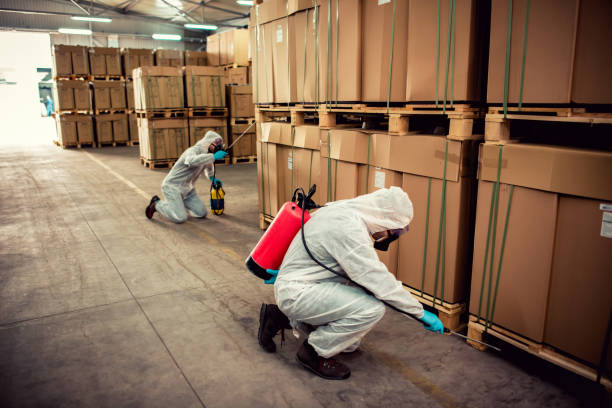 Best Best Pest Control Companies  in Portales, NM
