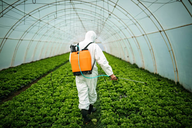 Best Best Pest Control Companies  in Portales, NM