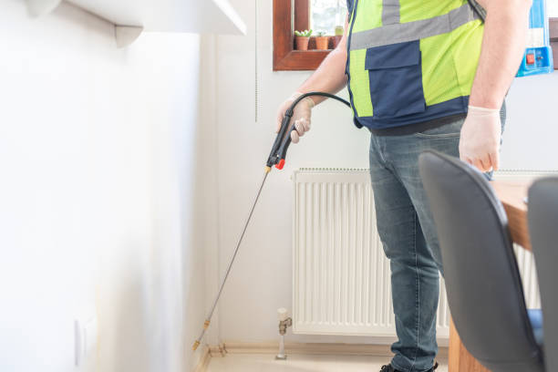 Best Wasp Removal Services  in Portales, NM