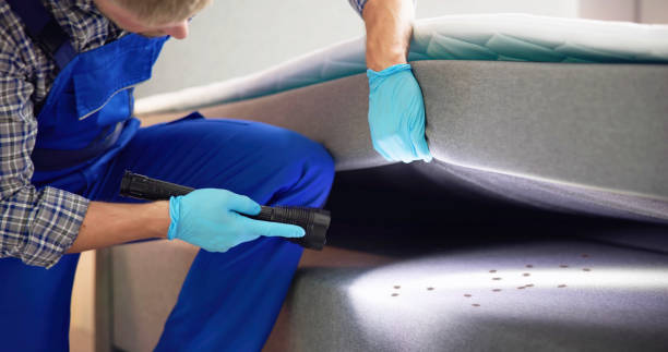 Best Exterminator Services  in Portales, NM