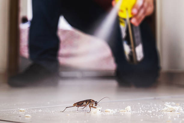Best Commercial Pest Control Services  in Portales, NM