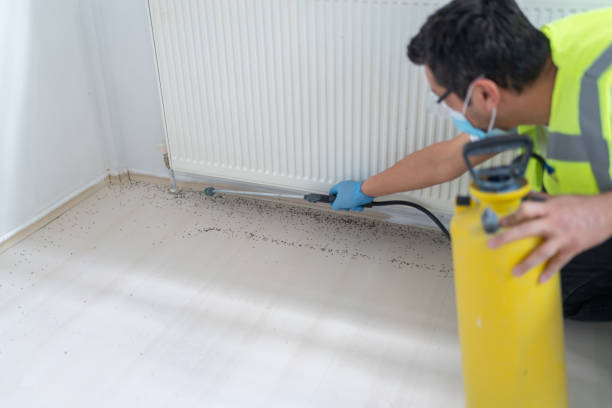 Reliable Portales, NM Pest Control Solutions