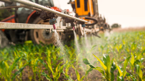 Best Insect Control  in Portales, NM